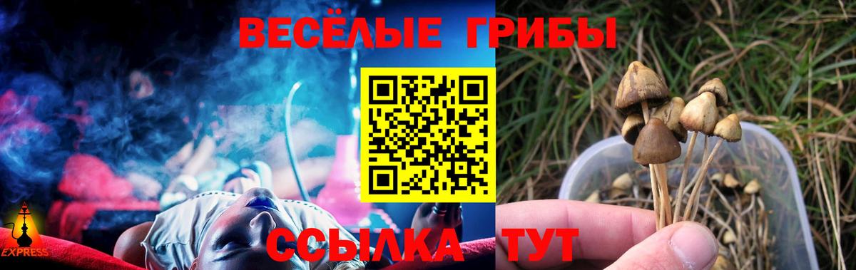 Галлюциногенные грибы Magic Shrooms  Вход с VPN  Галлюциногенные грибы Magic Shrooms  Выборг 