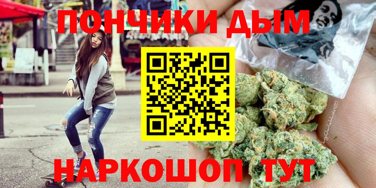 Выборг  Конопля план  Канабис сатива  Каннабис Ganja  Вход с VPN 
